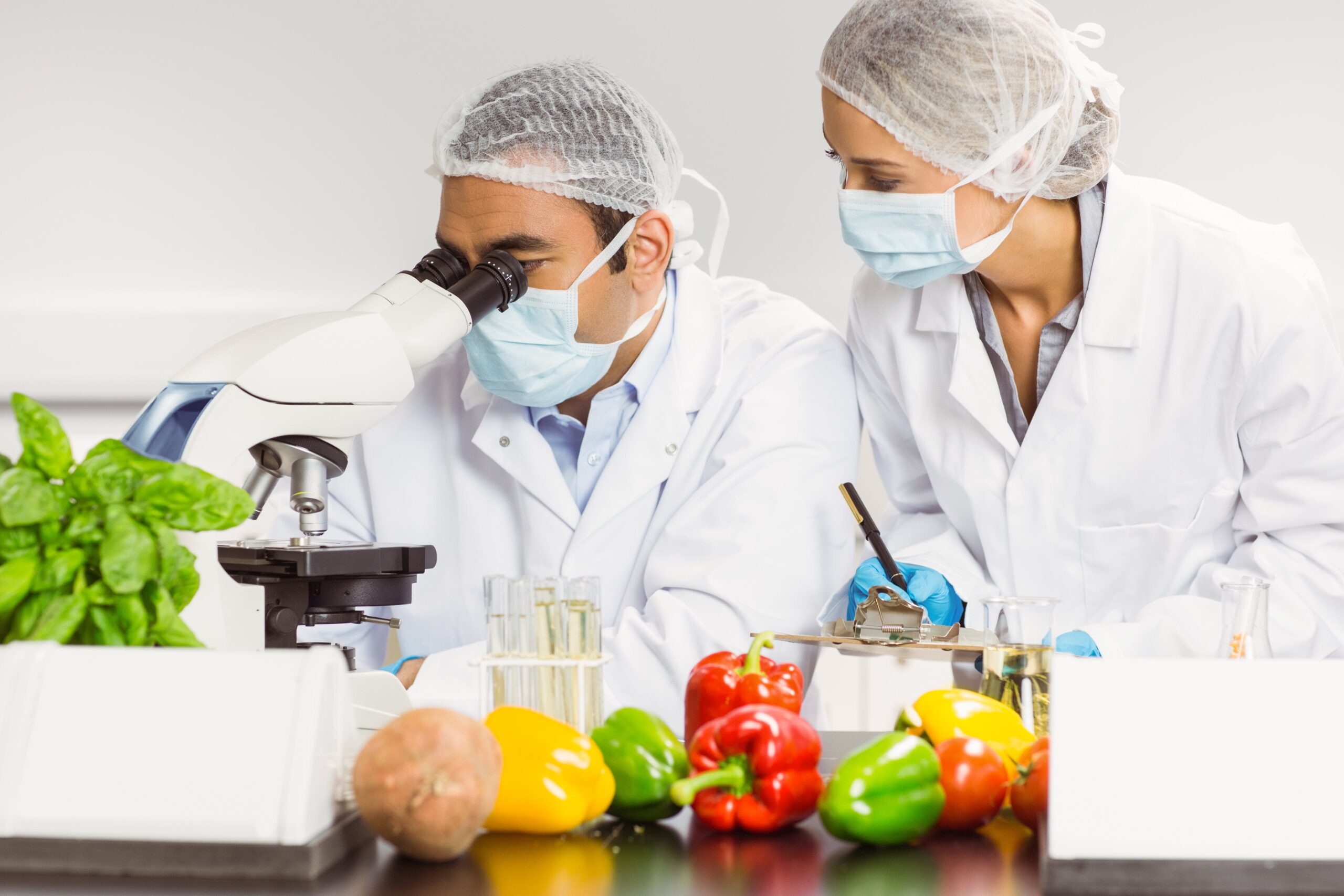 food safety training session in Dubai.